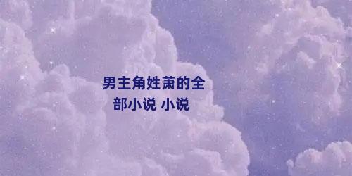 男主角姓萧的全部小说 小说